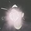frnnd24_