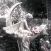 wingedlullaby_