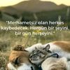 sbin.liyeva15