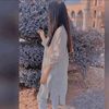 hussain24987