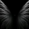 kurt_8602