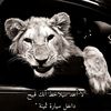 abo.azzme6