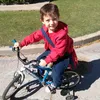 fausto7780
