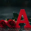 user07700191984