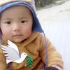 bhim.rai536