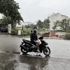 vn.thanh.nguyn100908