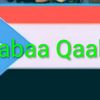 qasiim.haji4