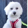 toby.feb24