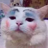 eueueueueuuuuu