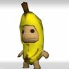 the.capy6