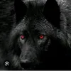 black.wolf4914