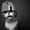 messxinzzz_