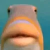 cnt0t0