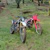 noven484