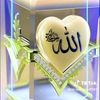 user59489114961622