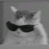 user5888196170281