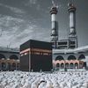 ali919487