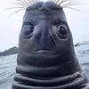 stinkslak637