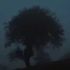 nightfallplaces