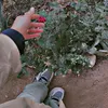 user6171122