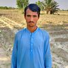 waheed.ali2784