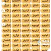 user4449253194726
