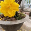 l.phng9959