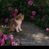 bscge4