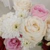 rana._686