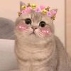 simrin910