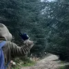 manil.mi10