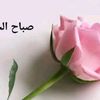user1707868654577