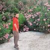 user17308865058277