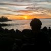 arif_antelope