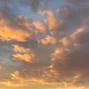 charlottee_.34