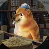 Những Điều Xàm Xí