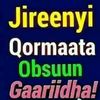 mitikubirhanu8