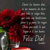 yoryina.aura.davi