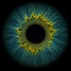 zahide.editor_71190