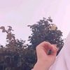 rm.l87