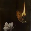 mel_issa0072