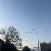 lyly_cherry99