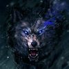 blackwolf.3d3