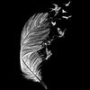noor.mohamed0242