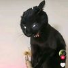 lusi183696