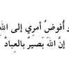rody.ahmed3233