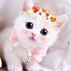 ashi_hazarewall