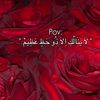 loulou11493