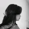 t2_ppp