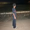 user274659328